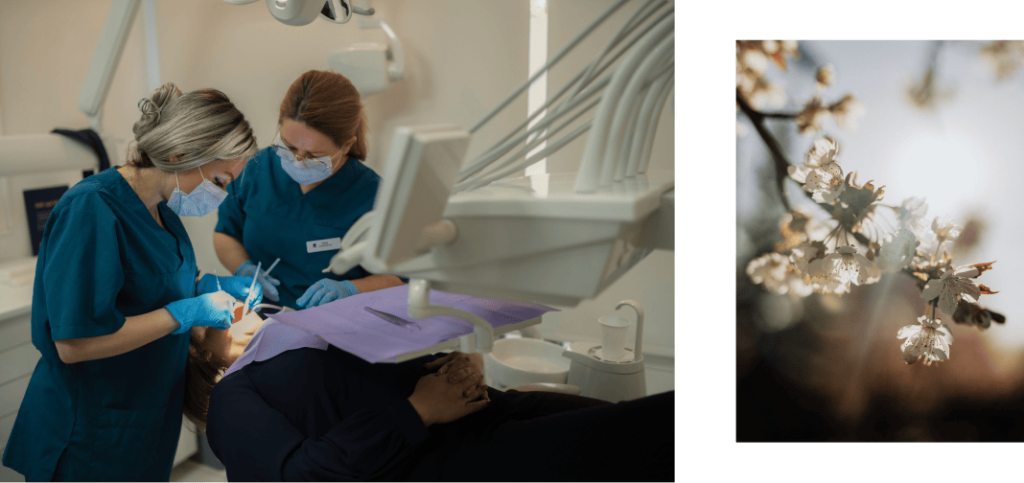 دندانپزشکان مراقبت های دندانپزشکی عمومی را با کمک یک پرستار دندانپزشکی انجام می دهند Estetikcentrum در مالمو